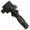 DELPHI GN10251-12B1 Ignition Coil